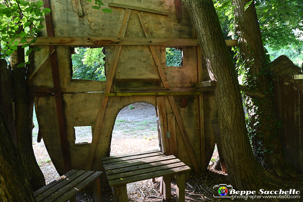 VBS_4926 - Il bosco fatato - Montaldo Roero.jpg